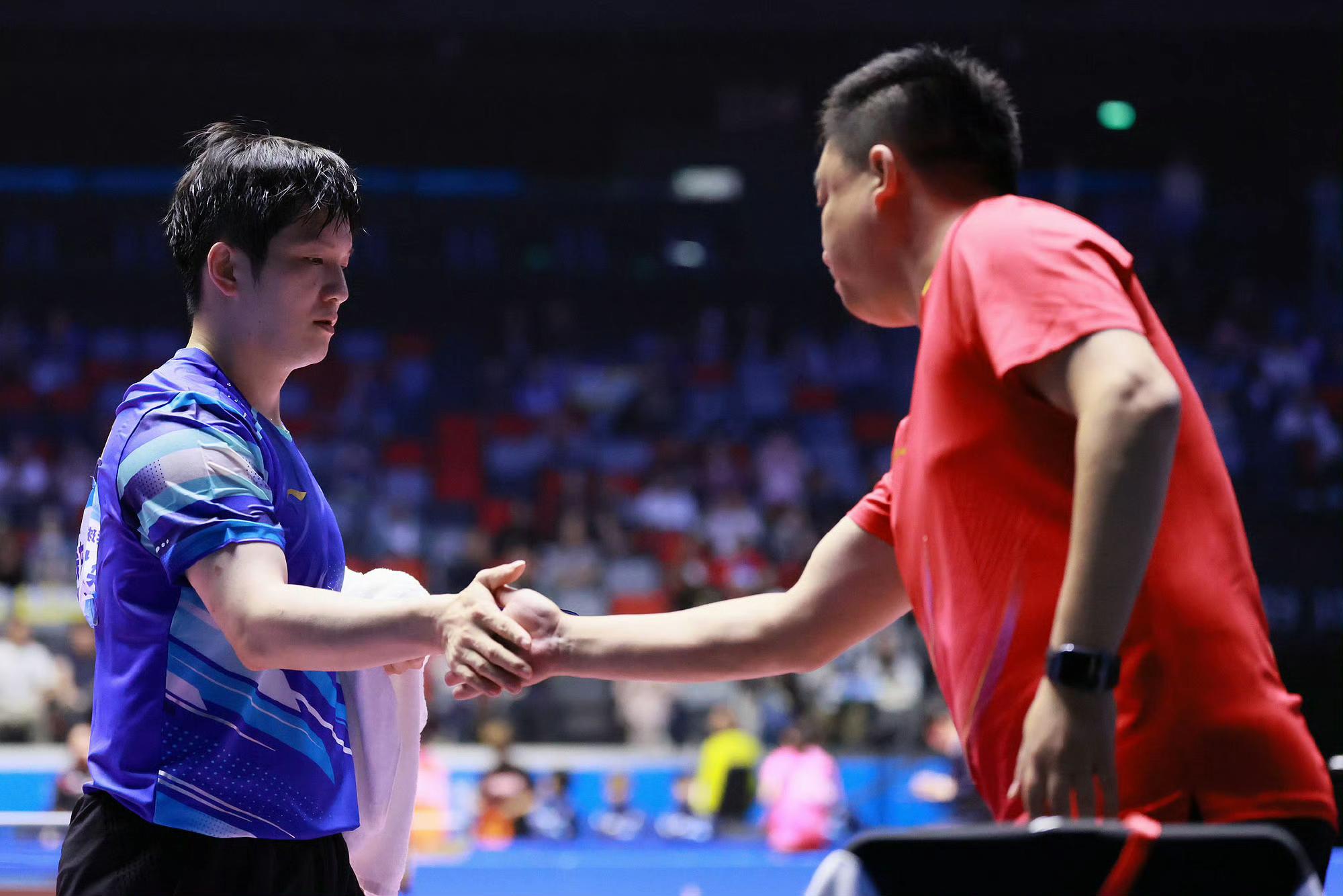 爱游戏官方-德国队鏖战奥地利队，樊振东带队取胜