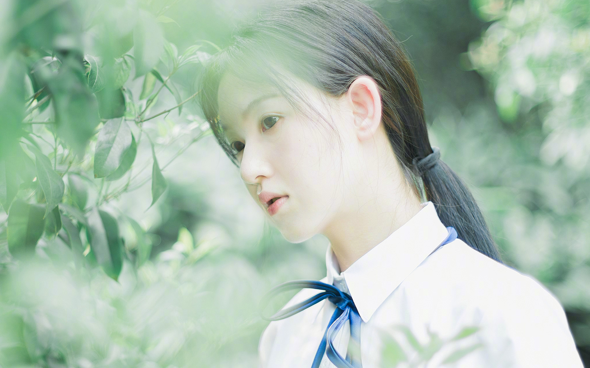 爱游戏娱乐-围场新秩序，红牛二队横扫梅赛德斯，阿隆索关键制胜