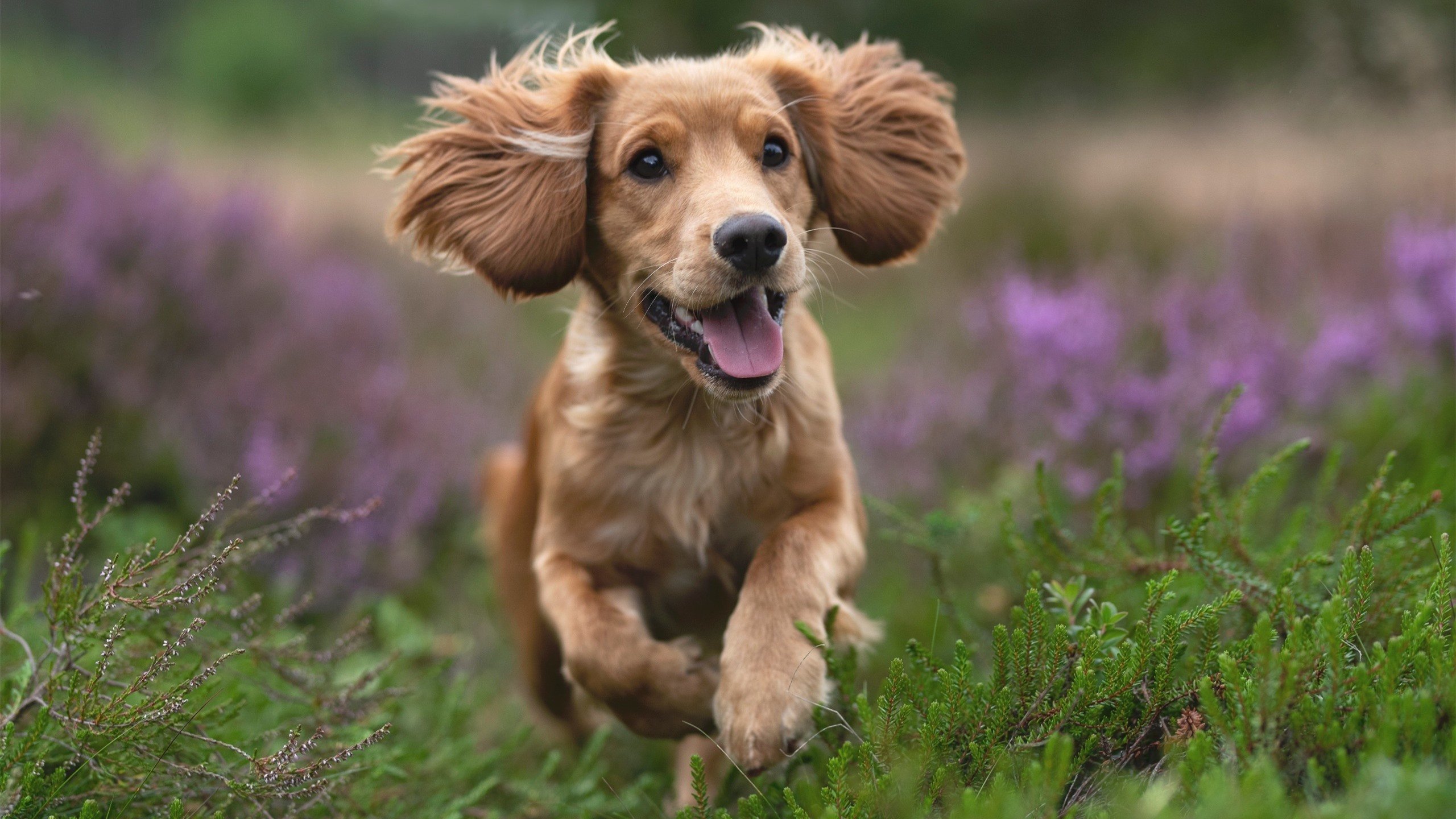 双线险胜，绝境边缘的胜利哲学