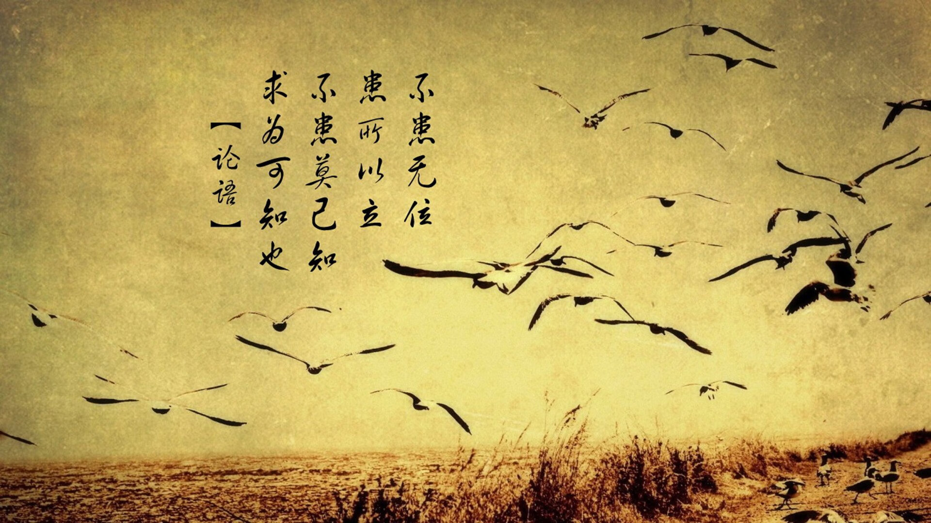 绿茵交响曲，当基耶萨的指挥棒点燃西班牙斗牛士之舞