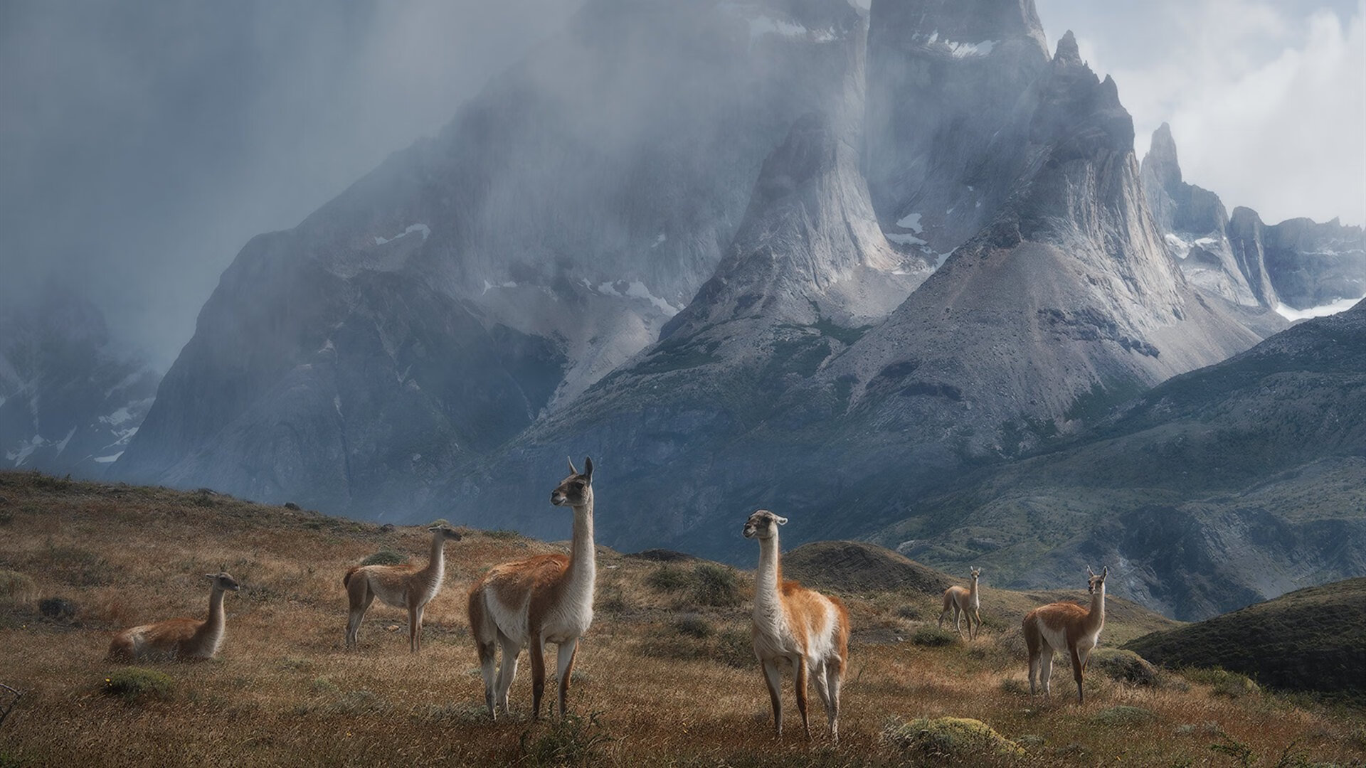 惊天爆发！赖斯双响助尼日利亚强行终结阿尔及利亚死亡之组悬念