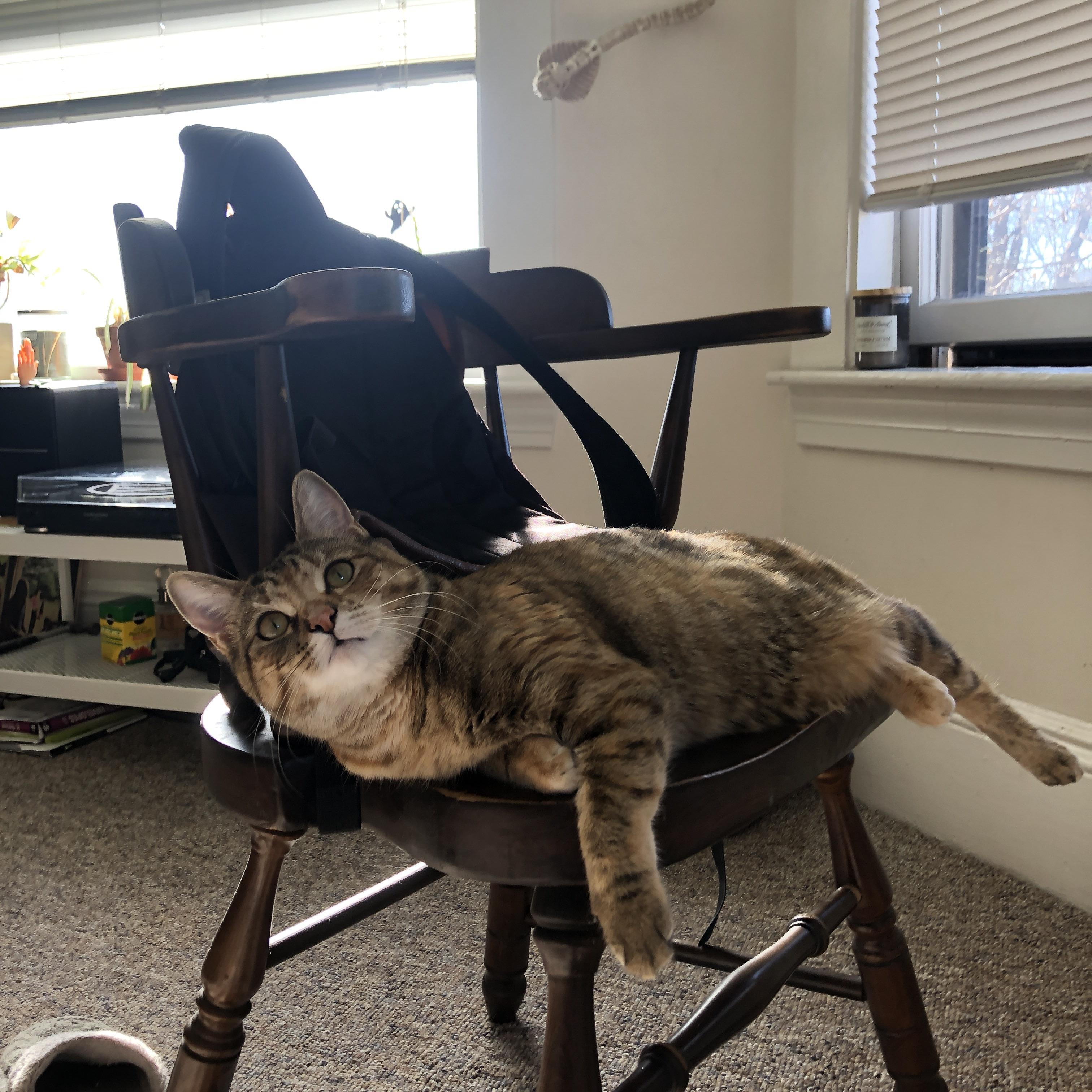 爱游戏在线-时空交错的球场意志，当爵士的秩序强行终结掘金的韵律，等待2026年莫兰特接管的世界杯