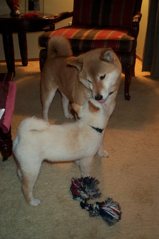 平行时空的第四节，当哈登推开AT&T中心更衣室的门