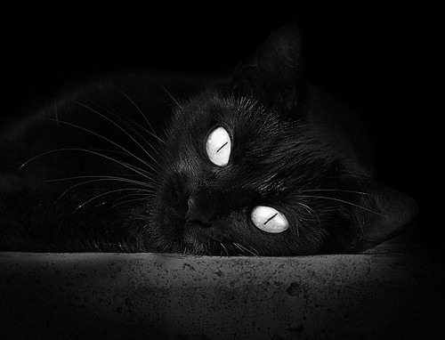 爱游戏tv-利拉德压制级表演引爆客场，灰熊力擒马刺夺关键胜利