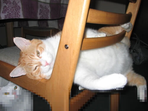 战吼无声，浓眉于世界排名争夺战的夜晚证明所有喧哗皆为徒劳