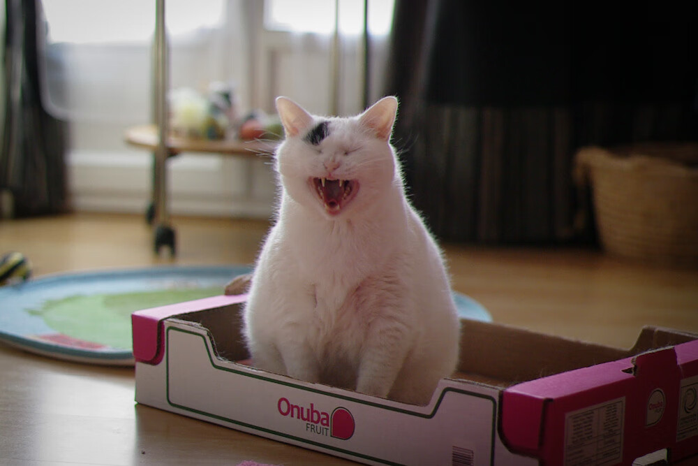 爱游戏入口-热刺锋线破茧的尖刀，紫百合智慧的无形压制—竞技场上压力转化的艺术