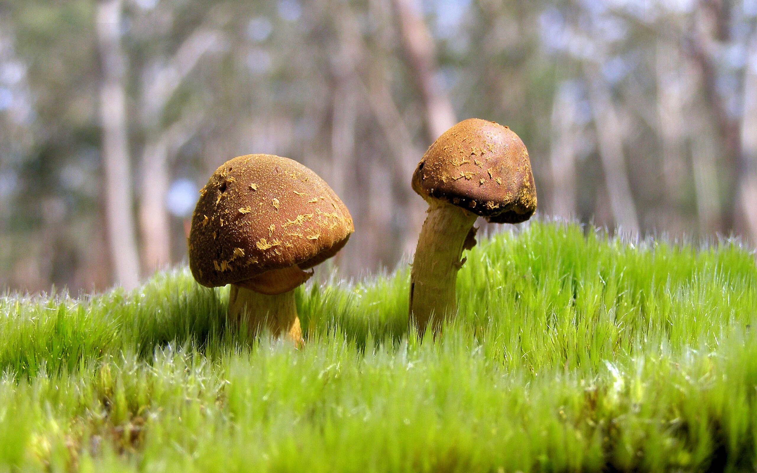 爱游戏在线-锈迹与星光的对决，当乔治的唯一性在倒数五秒显现