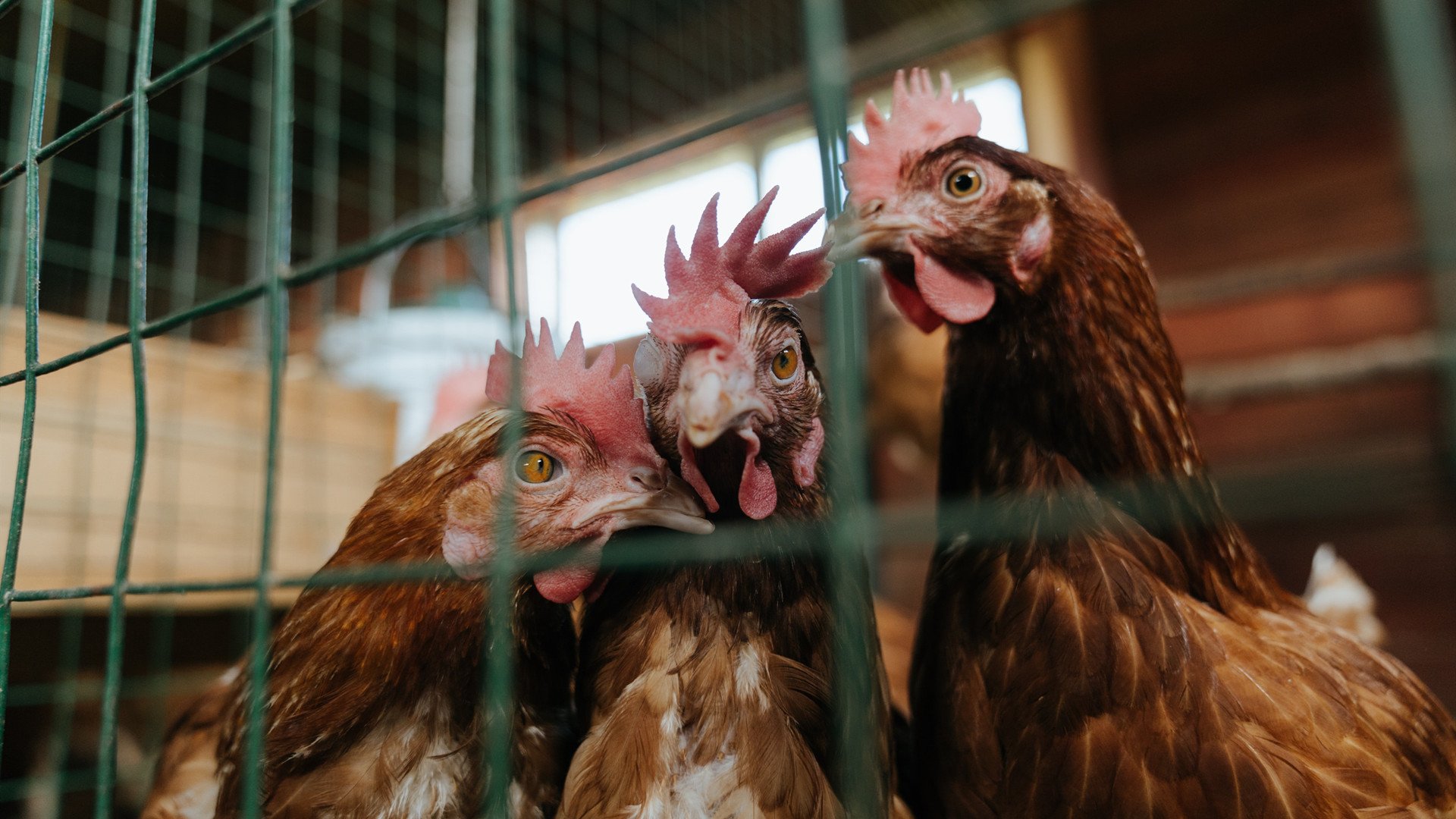 从NBA总决赛到马里封锁马竞，竞技场上，何谓真正的封锁？
