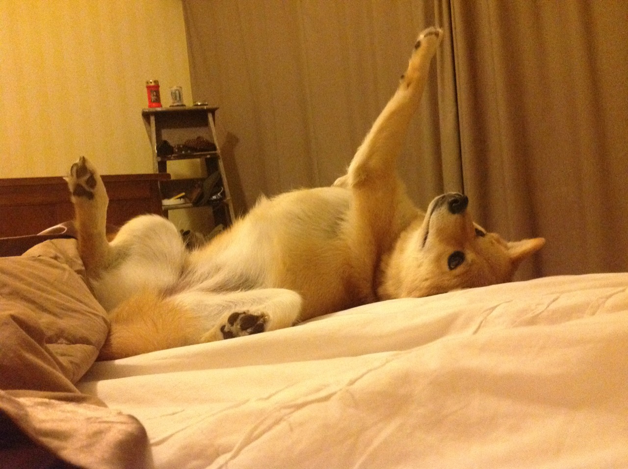 爱游戏大厅-洪水猛兽，米切尔肆虐内线，勇士铁桶阵绞杀山西外线风暴