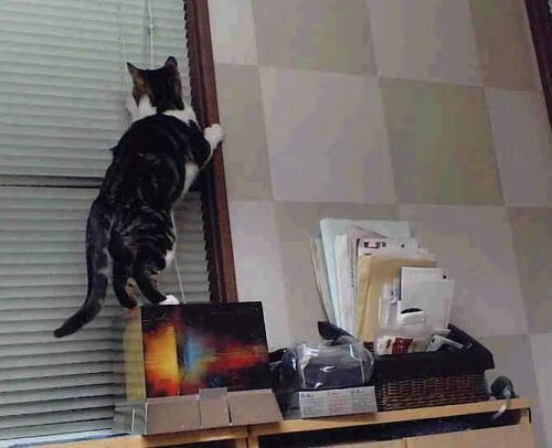 北欧童话续写新章，蒂亚戈幽灵一击，撕裂加勒比海防线