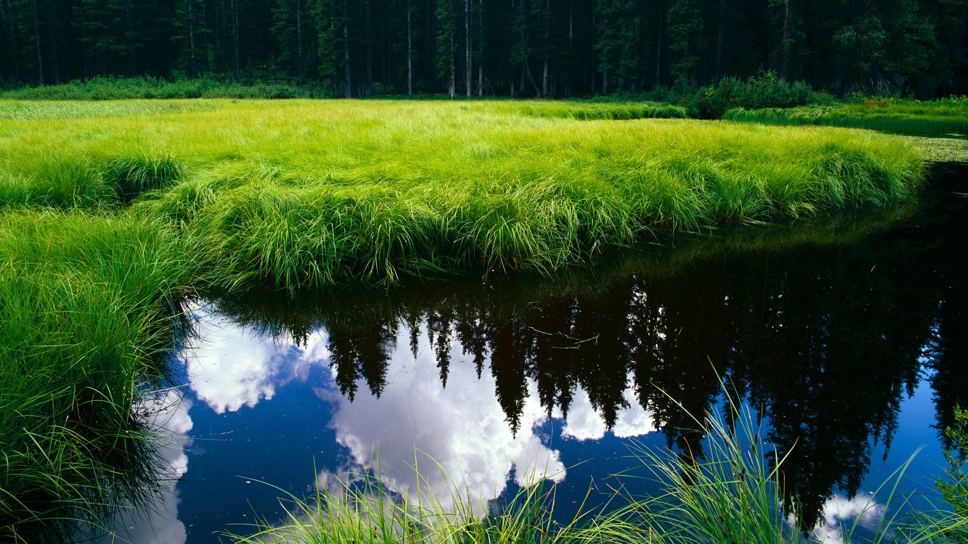 独舞者与交响乐，当马丁内利成为比赛节拍的唯一指挥家