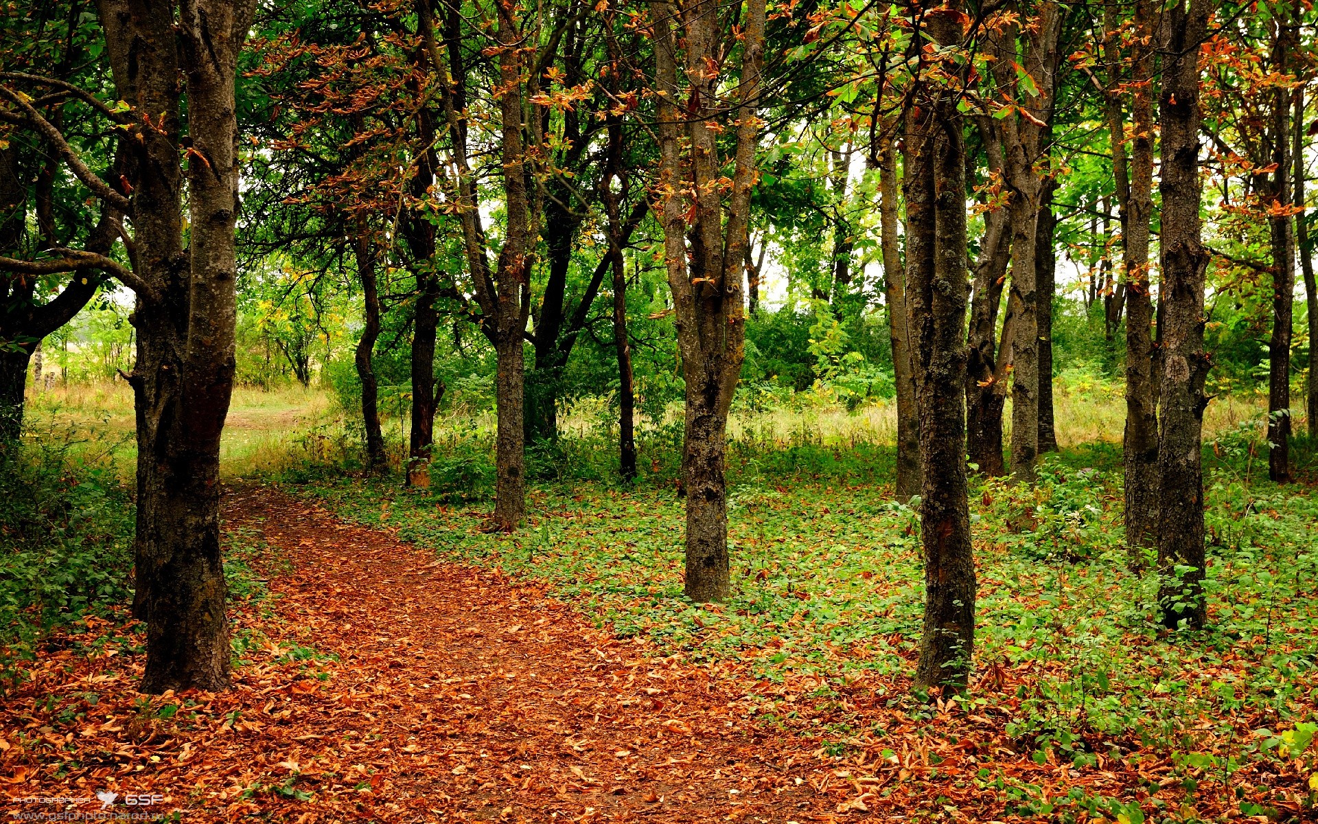 加时鏖战，AC米兰的坚韧与那不勒斯的遗憾—欧冠半决赛焦点战回顾