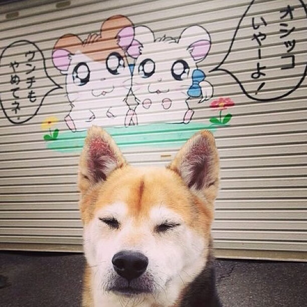 跨次元铁闸，当赖斯在FC 25数据灾变中末节拯救摩纳哥