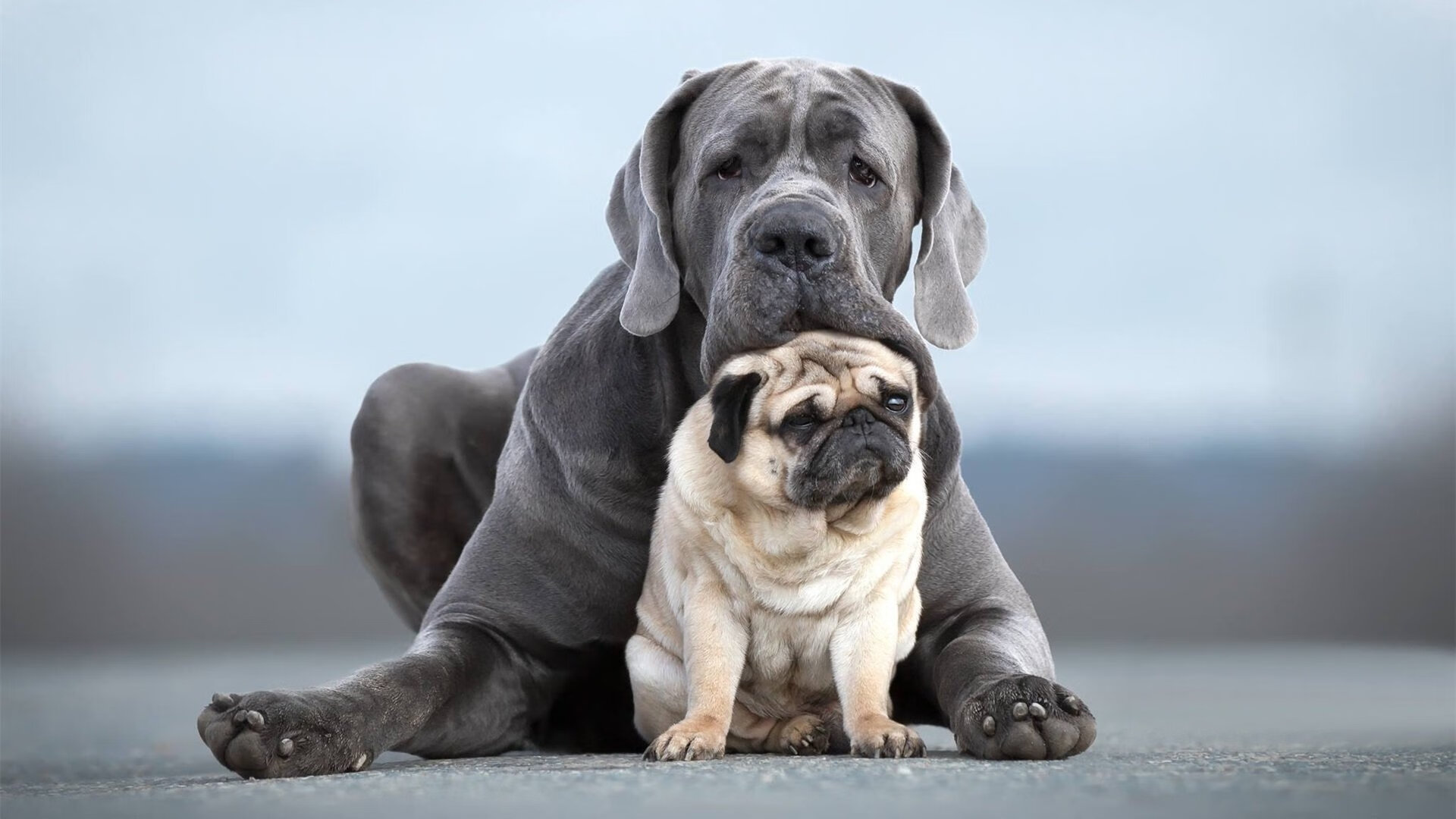 爱游戏体育-静默的里程碑，当美加墨的月光落在梅西散去的脚印上
