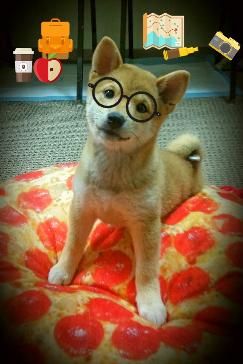 冰与火之歌，哈利伯顿的个人艺术与篮网的节奏哲学