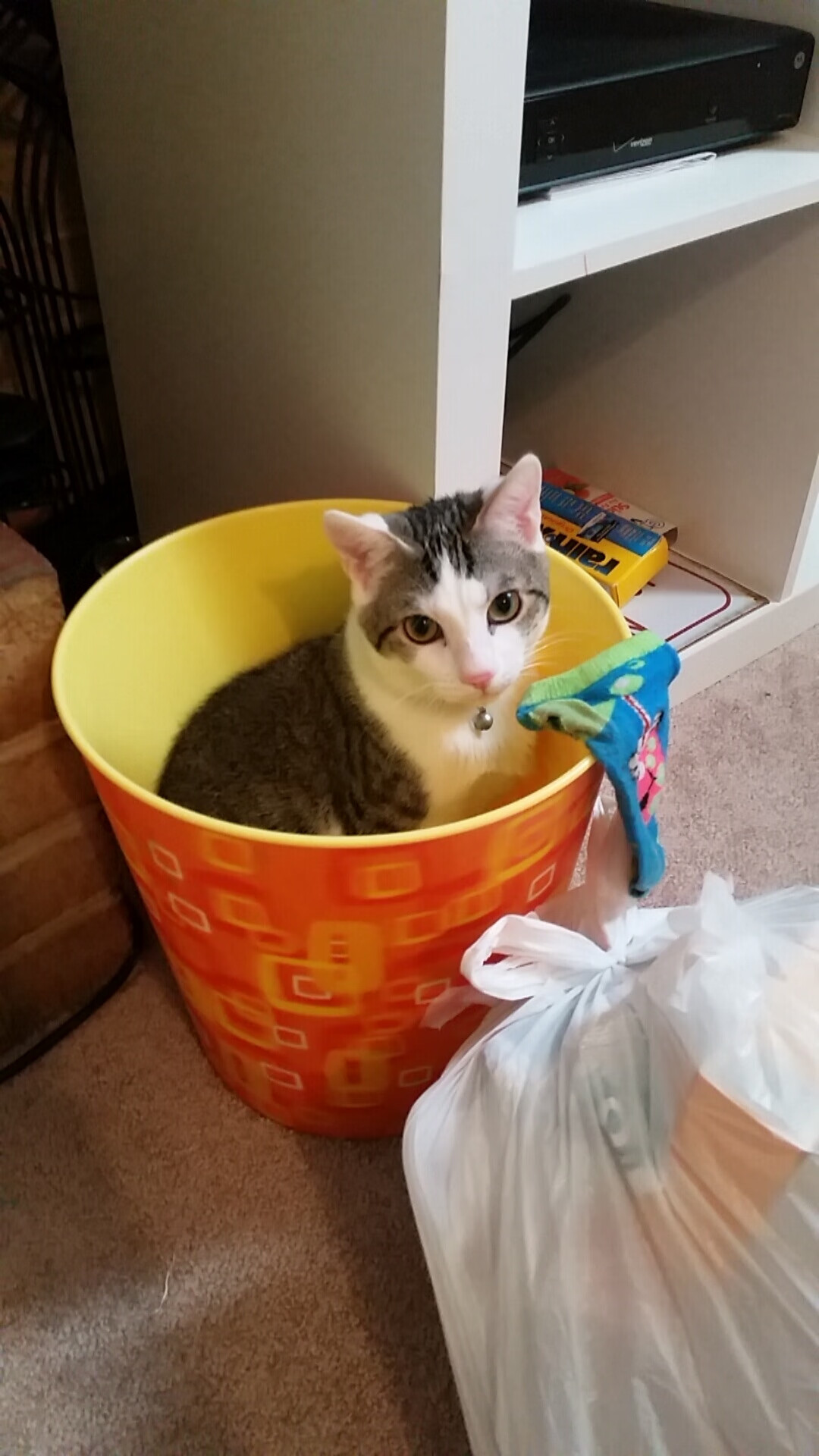 跨海之争，当意大利尖刀刺穿英超冠军之夜