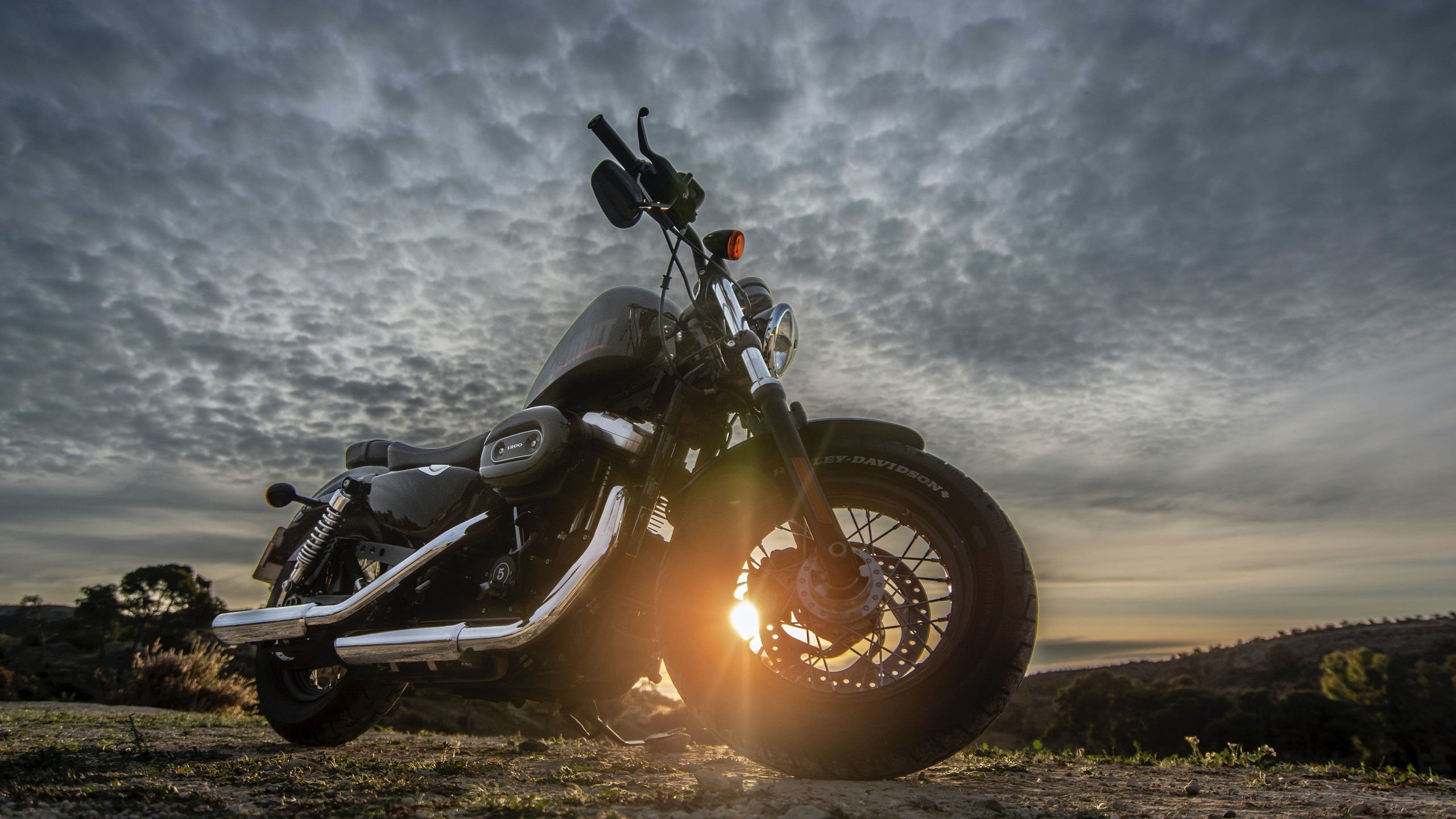 逆风局,老将魂,京多安领衔的防守艺术,德国战车在2026世界杯F组关键战中碾碎泰国奇迹