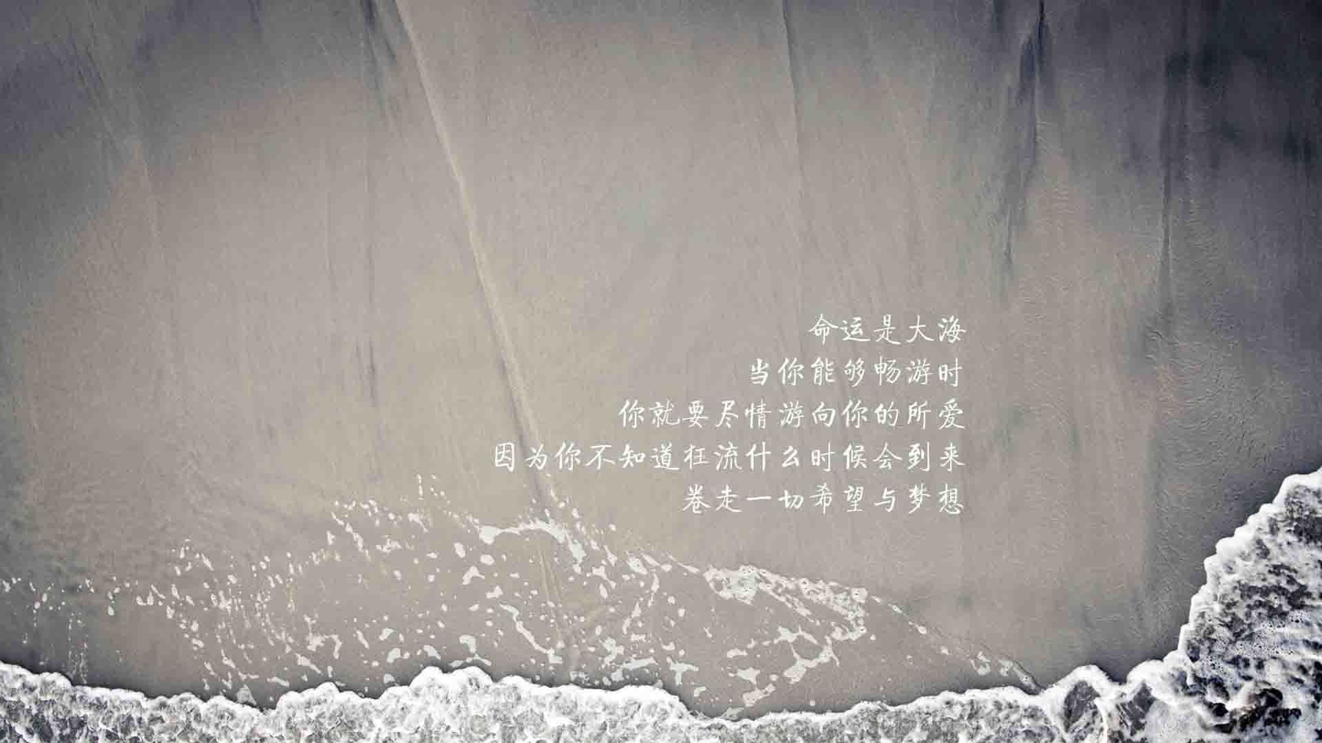 冰与火之战的唯一注解,加维王朝的加冕礼,比利时黄金一代的最后一舞